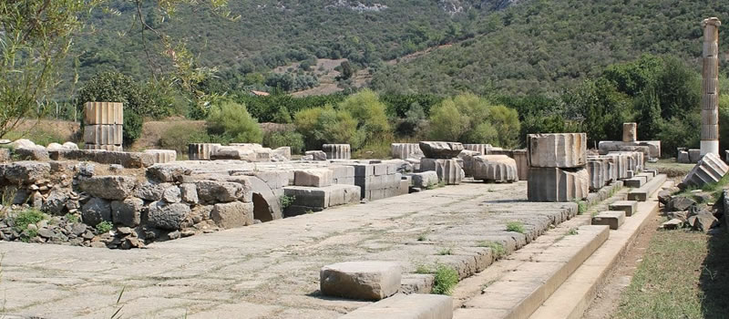 History Unveiled Claros Ancient City