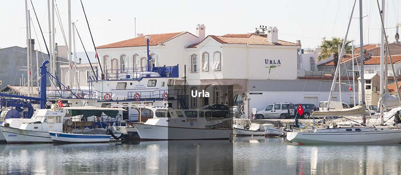 Where Olive Trees and Art Meet Urla