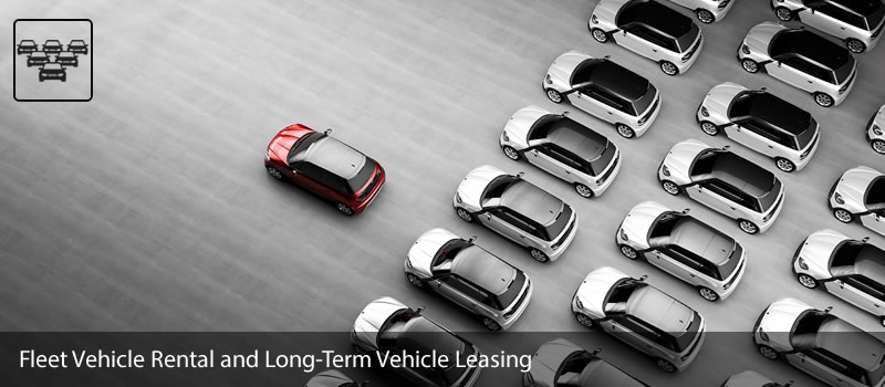fleet_vehicle_rental_and_long_term_vehicle_leasing_devrecar