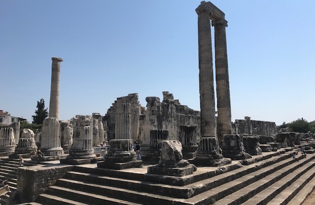 didim_apollon