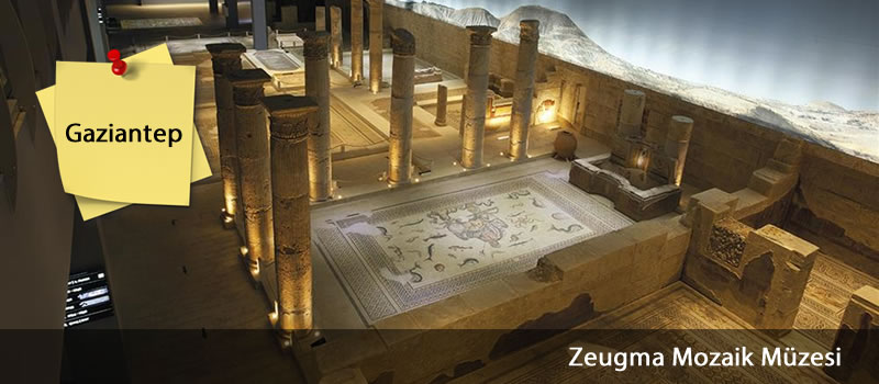 gaziantep_zeugma_mozaik_muzesi_devrecar