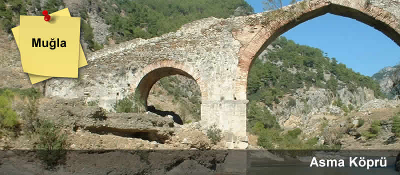 asma_kopru_mugla_devrecar