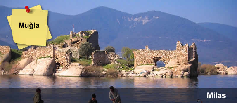 Milas