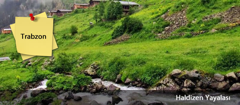 haldizen_yaylasi_trabzon_devrecar