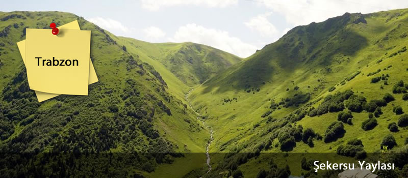 sekersu_yaylasi_trabzon_devrecar_Copy
